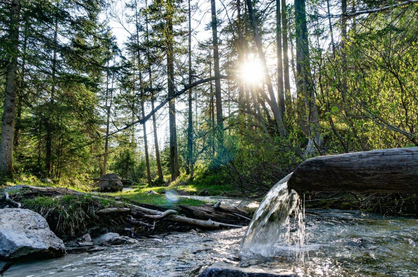 Haus Zak Lägenhet Scharnitz Exteriör bild